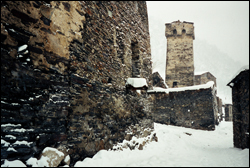thmas riedelsheimer